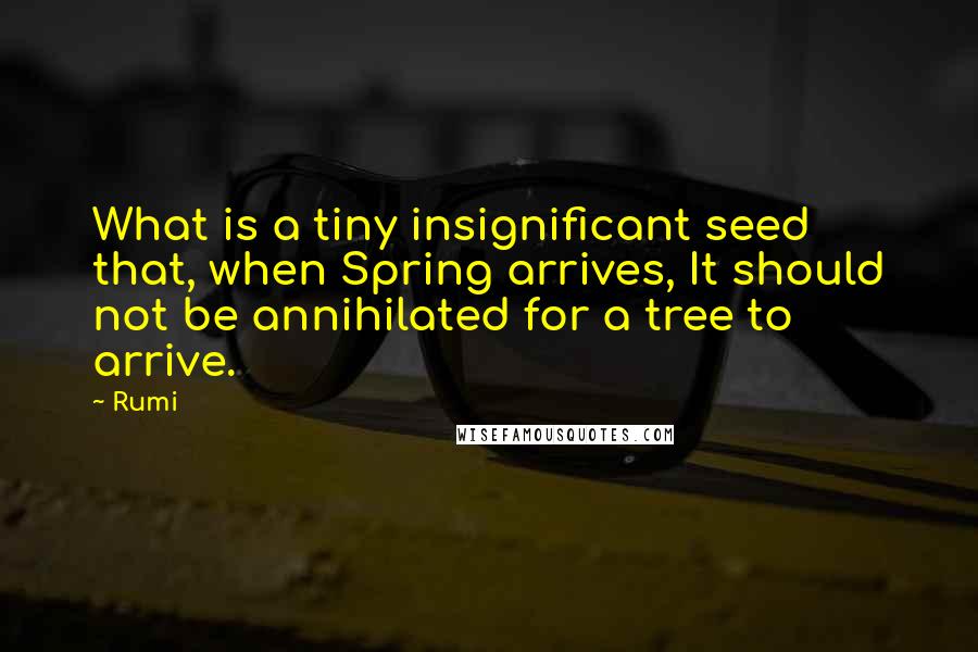Rumi Quotes: What is a tiny insignificant seed that, when Spring arrives, It should not be annihilated for a tree to arrive.