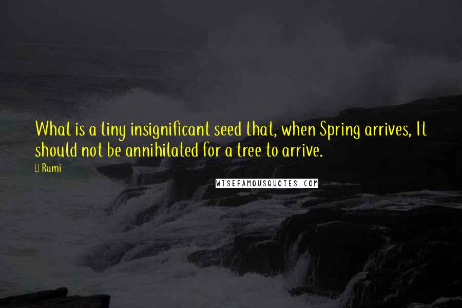 Rumi Quotes: What is a tiny insignificant seed that, when Spring arrives, It should not be annihilated for a tree to arrive.