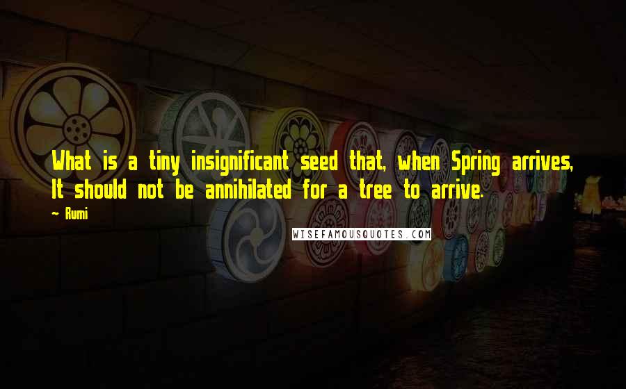 Rumi Quotes: What is a tiny insignificant seed that, when Spring arrives, It should not be annihilated for a tree to arrive.
