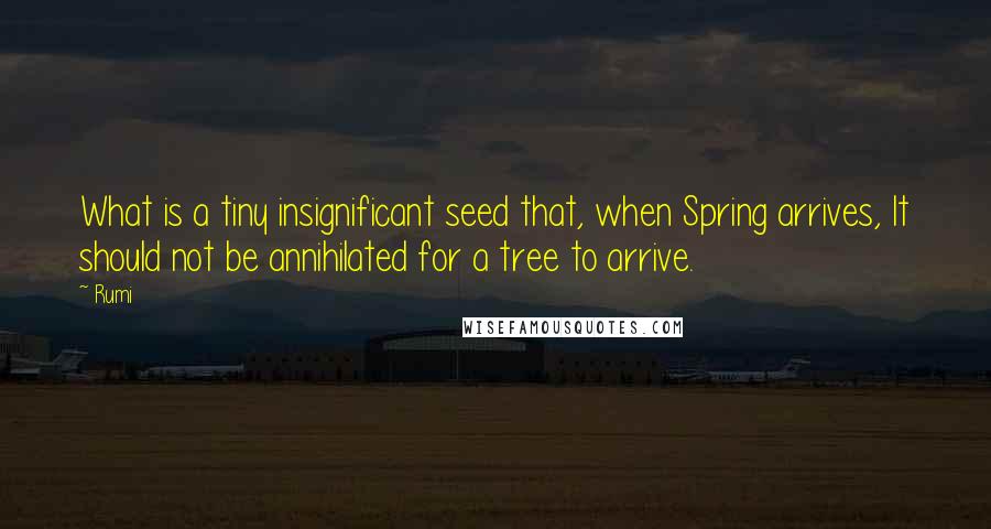 Rumi Quotes: What is a tiny insignificant seed that, when Spring arrives, It should not be annihilated for a tree to arrive.