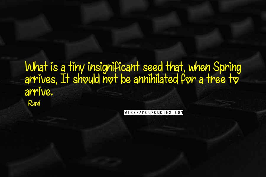 Rumi Quotes: What is a tiny insignificant seed that, when Spring arrives, It should not be annihilated for a tree to arrive.