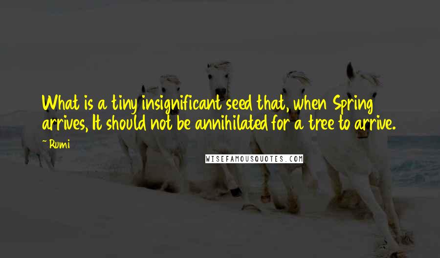 Rumi Quotes: What is a tiny insignificant seed that, when Spring arrives, It should not be annihilated for a tree to arrive.