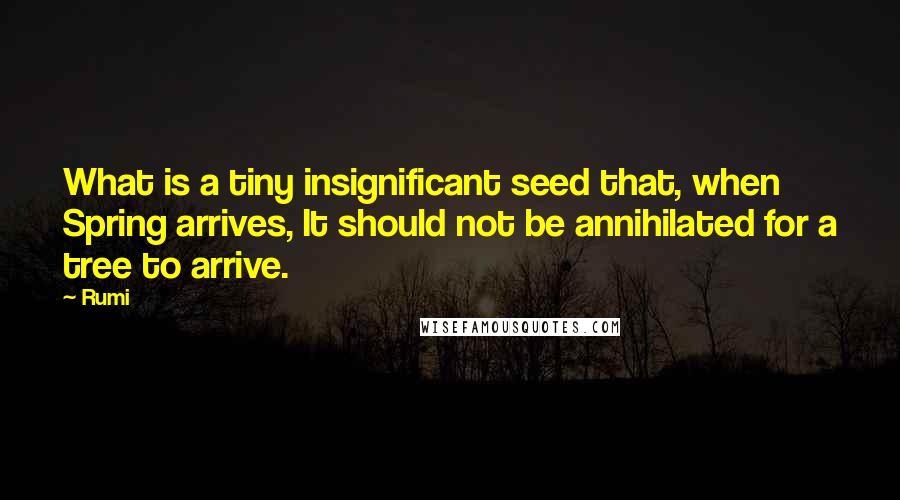 Rumi Quotes: What is a tiny insignificant seed that, when Spring arrives, It should not be annihilated for a tree to arrive.
