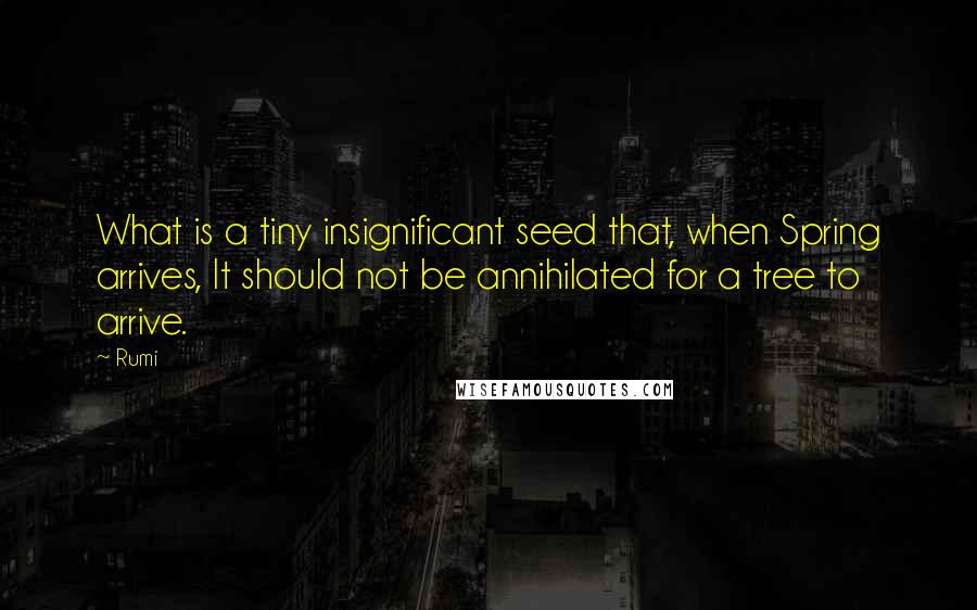 Rumi Quotes: What is a tiny insignificant seed that, when Spring arrives, It should not be annihilated for a tree to arrive.