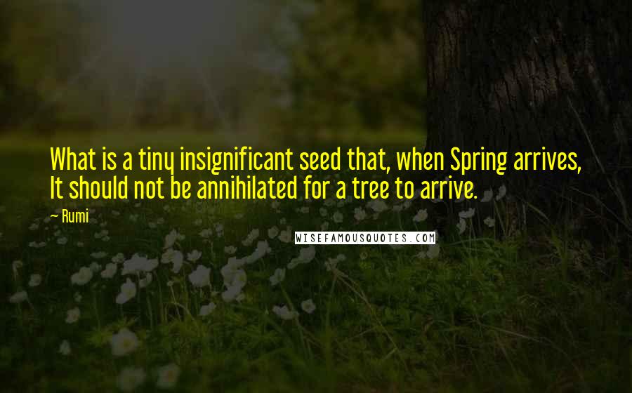 Rumi Quotes: What is a tiny insignificant seed that, when Spring arrives, It should not be annihilated for a tree to arrive.