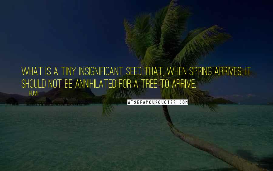 Rumi Quotes: What is a tiny insignificant seed that, when Spring arrives, It should not be annihilated for a tree to arrive.