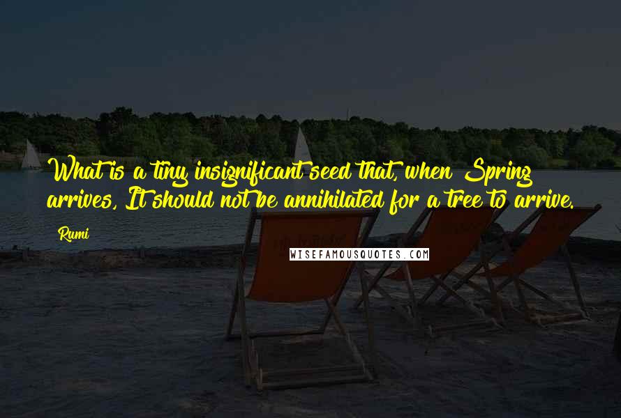 Rumi Quotes: What is a tiny insignificant seed that, when Spring arrives, It should not be annihilated for a tree to arrive.