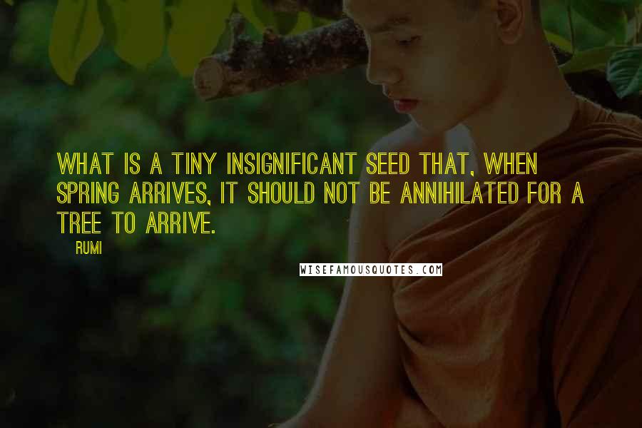 Rumi Quotes: What is a tiny insignificant seed that, when Spring arrives, It should not be annihilated for a tree to arrive.