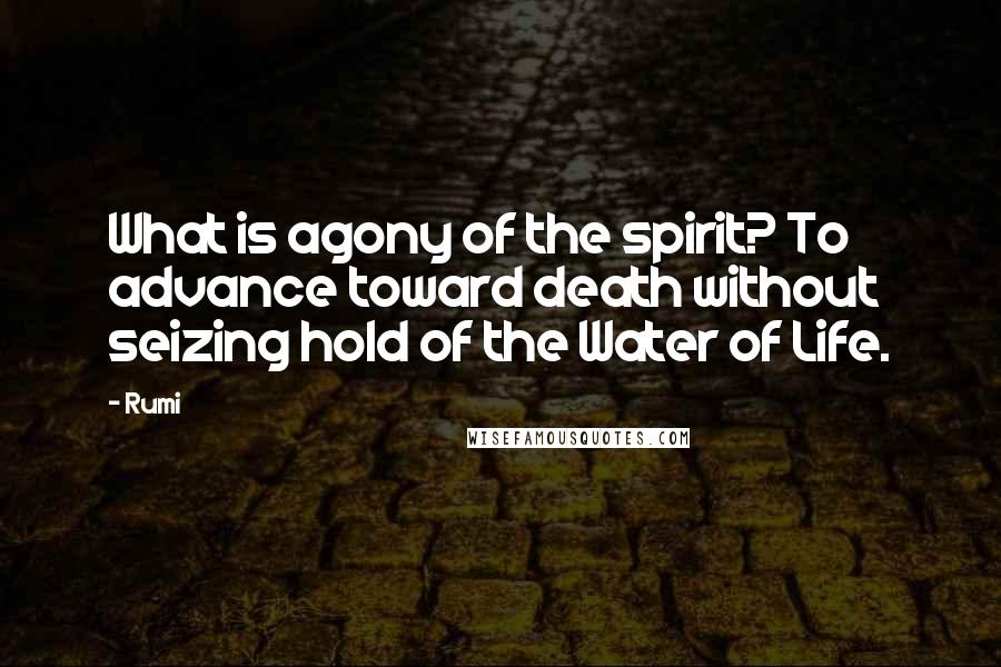 Rumi Quotes: What is agony of the spirit? To advance toward death without seizing hold of the Water of Life.