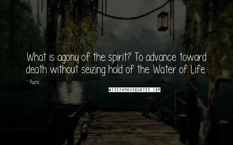Rumi Quotes: What is agony of the spirit? To advance toward death without seizing hold of the Water of Life.