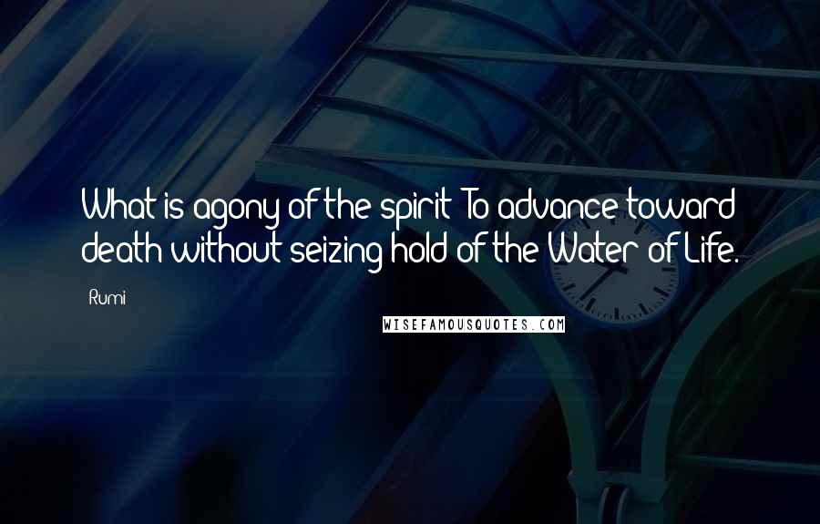 Rumi Quotes: What is agony of the spirit? To advance toward death without seizing hold of the Water of Life.