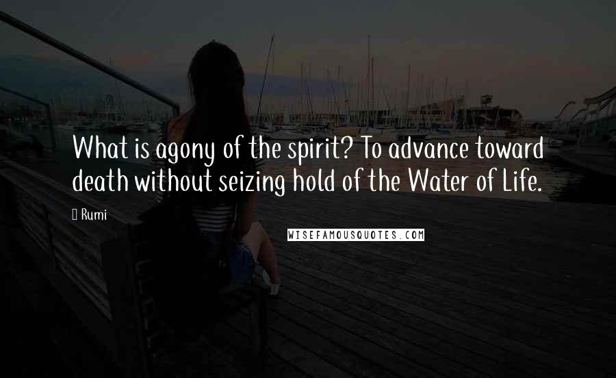 Rumi Quotes: What is agony of the spirit? To advance toward death without seizing hold of the Water of Life.