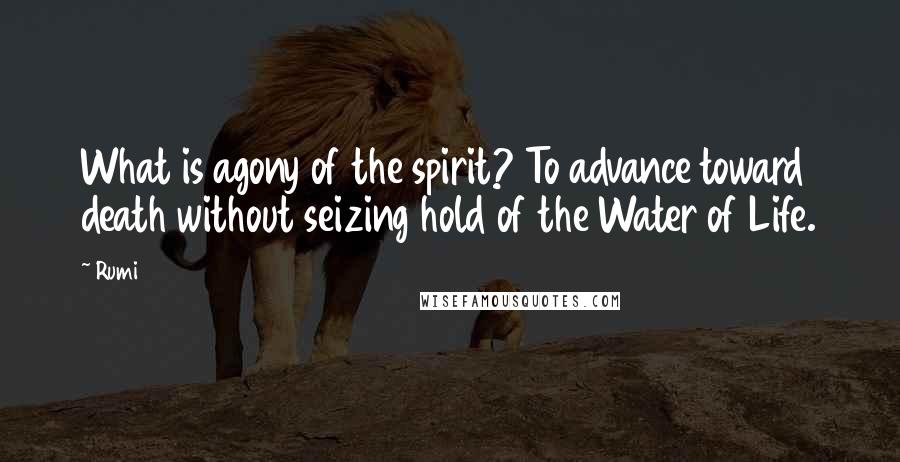 Rumi Quotes: What is agony of the spirit? To advance toward death without seizing hold of the Water of Life.