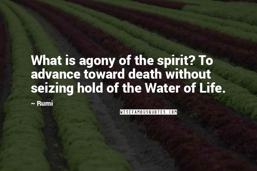Rumi Quotes: What is agony of the spirit? To advance toward death without seizing hold of the Water of Life.