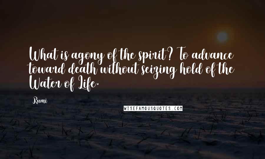 Rumi Quotes: What is agony of the spirit? To advance toward death without seizing hold of the Water of Life.