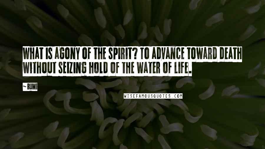 Rumi Quotes: What is agony of the spirit? To advance toward death without seizing hold of the Water of Life.
