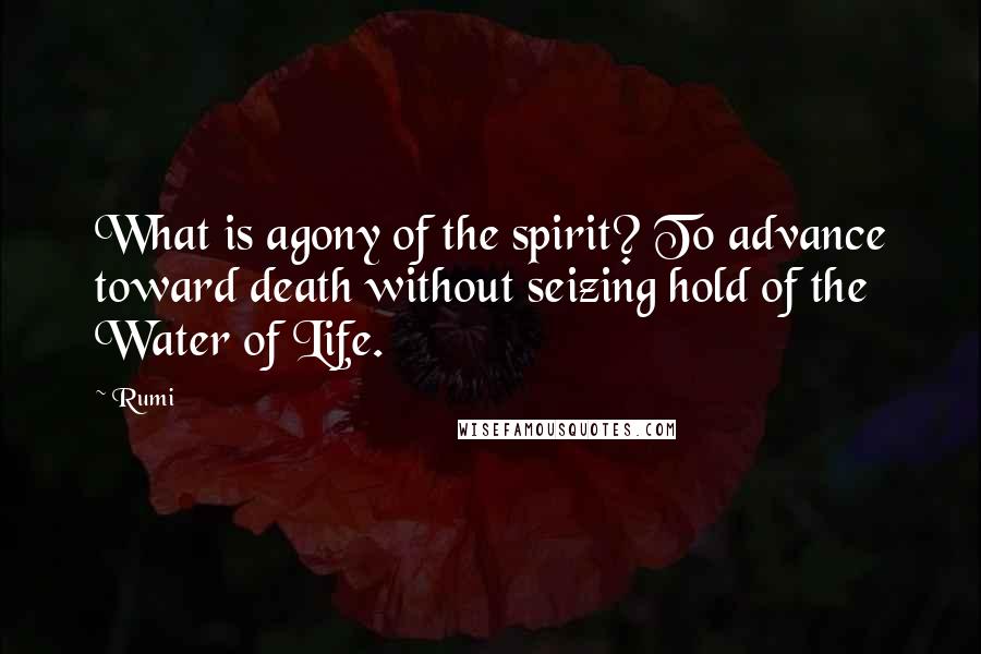 Rumi Quotes: What is agony of the spirit? To advance toward death without seizing hold of the Water of Life.