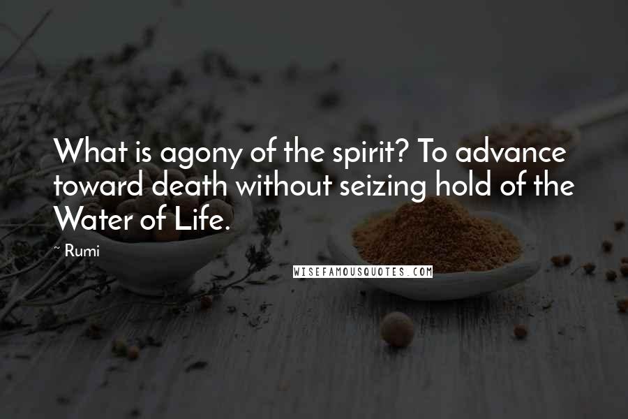 Rumi Quotes: What is agony of the spirit? To advance toward death without seizing hold of the Water of Life.