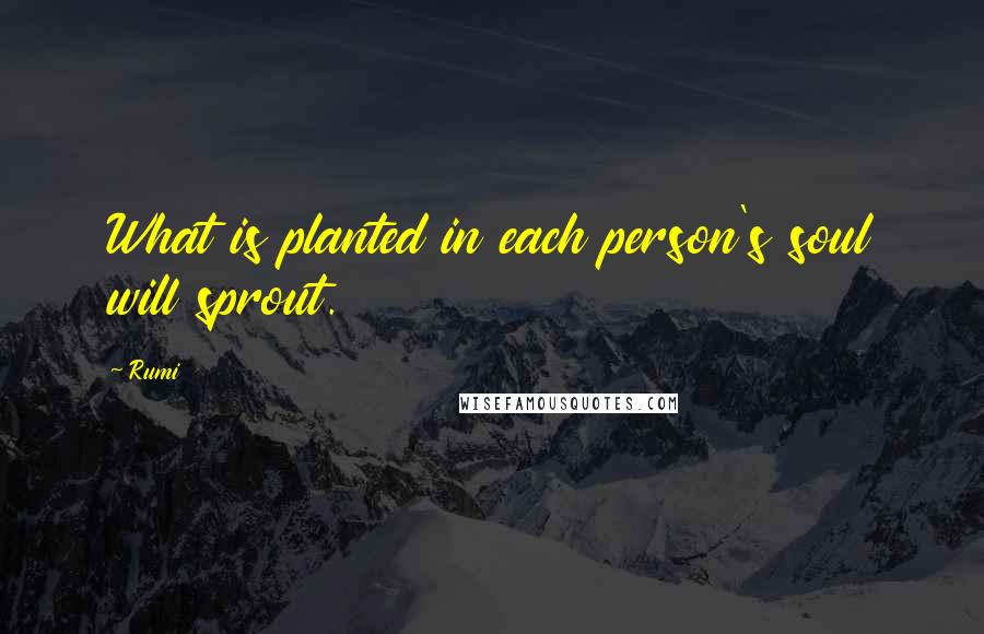 Rumi Quotes: What is planted in each person's soul will sprout.