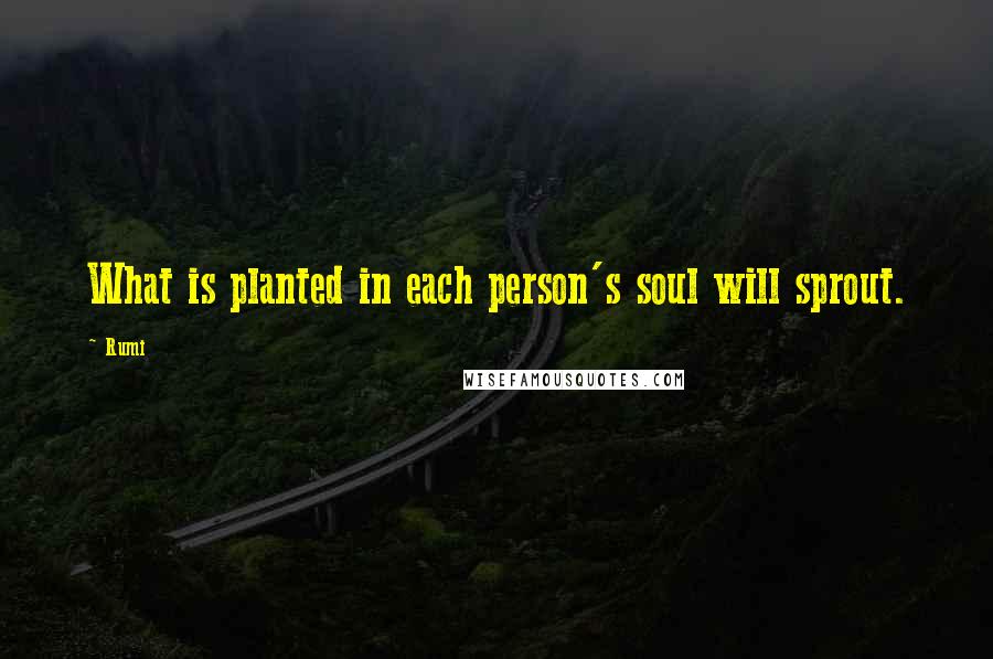 Rumi Quotes: What is planted in each person's soul will sprout.