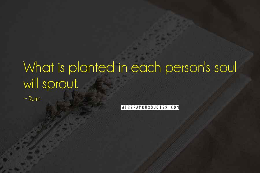Rumi Quotes: What is planted in each person's soul will sprout.