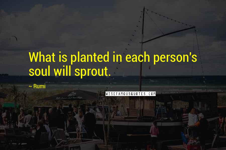 Rumi Quotes: What is planted in each person's soul will sprout.