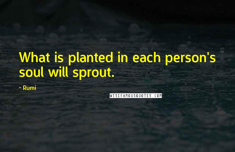 Rumi Quotes: What is planted in each person's soul will sprout.