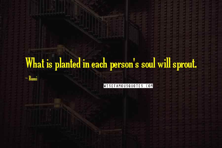Rumi Quotes: What is planted in each person's soul will sprout.