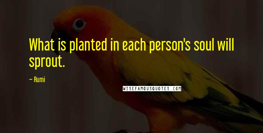 Rumi Quotes: What is planted in each person's soul will sprout.