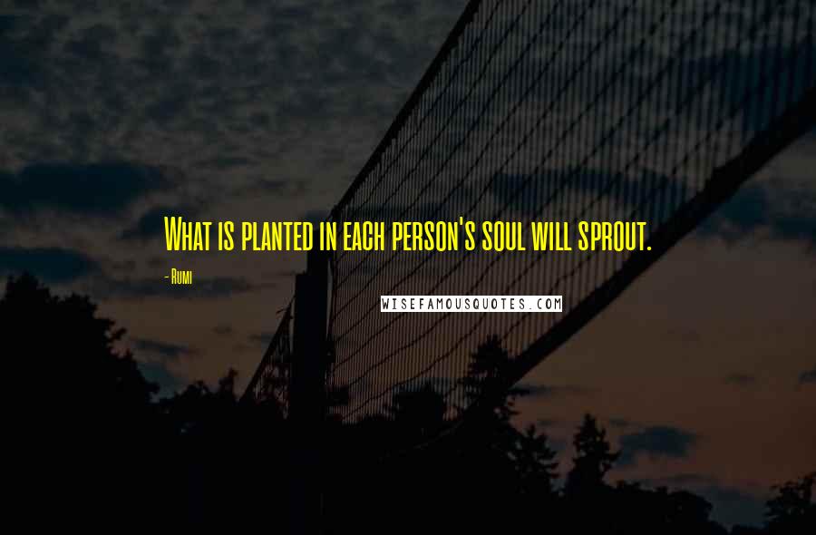 Rumi Quotes: What is planted in each person's soul will sprout.
