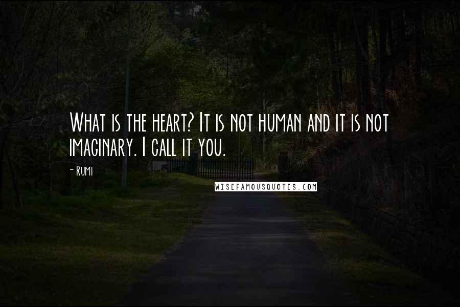 Rumi Quotes: What is the heart? It is not human and it is not imaginary. I call it you.