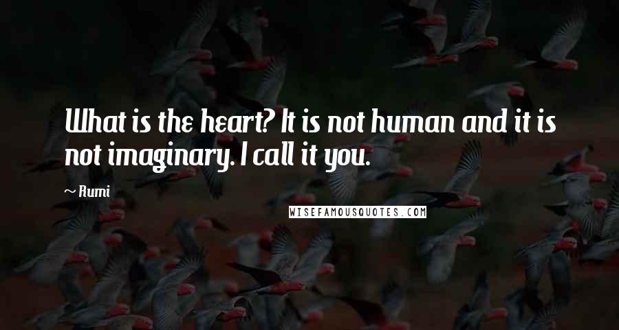 Rumi Quotes: What is the heart? It is not human and it is not imaginary. I call it you.