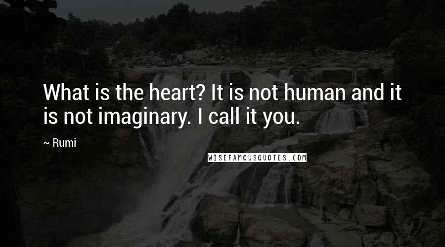 Rumi Quotes: What is the heart? It is not human and it is not imaginary. I call it you.