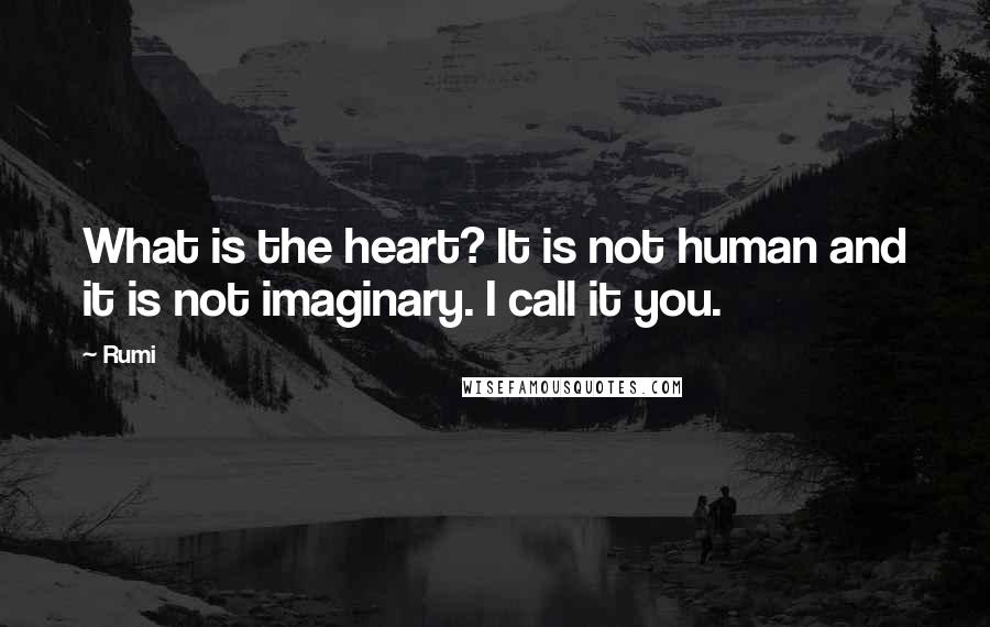 Rumi Quotes: What is the heart? It is not human and it is not imaginary. I call it you.