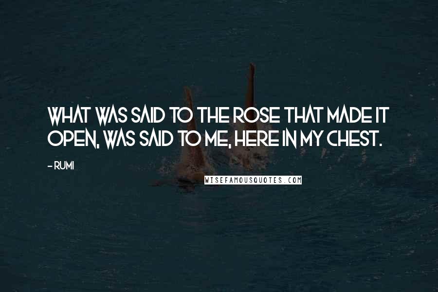 Rumi Quotes: What was said to the rose that made it open, was said to me, here in my chest.