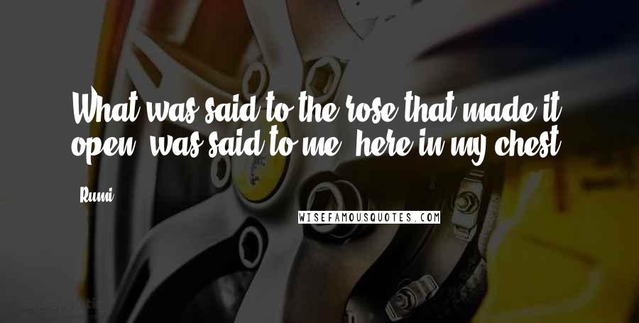Rumi Quotes: What was said to the rose that made it open, was said to me, here in my chest.