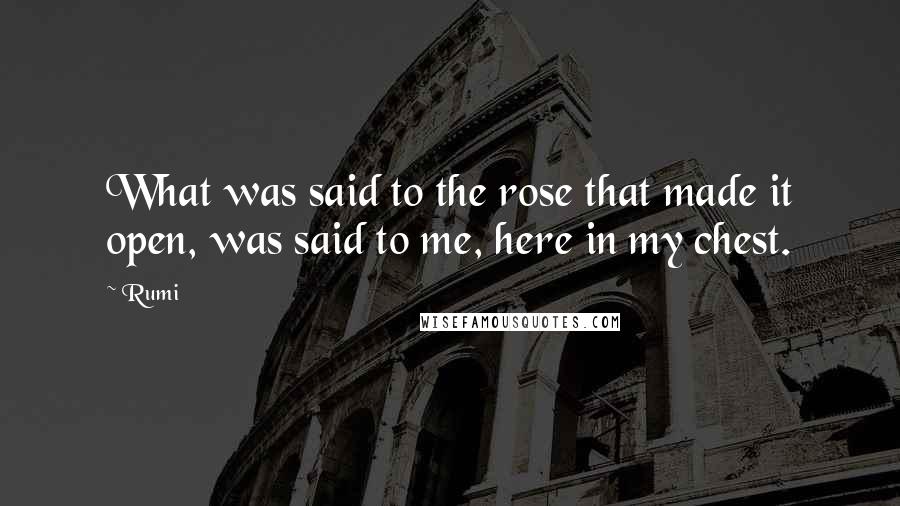 Rumi Quotes: What was said to the rose that made it open, was said to me, here in my chest.