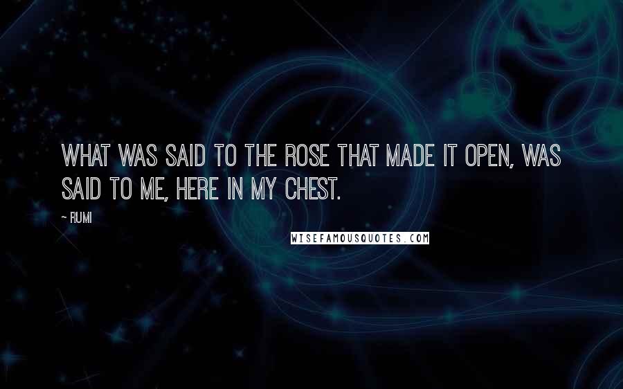 Rumi Quotes: What was said to the rose that made it open, was said to me, here in my chest.