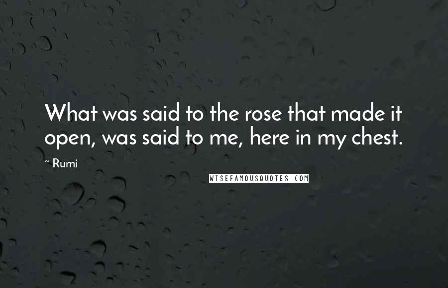 Rumi Quotes: What was said to the rose that made it open, was said to me, here in my chest.