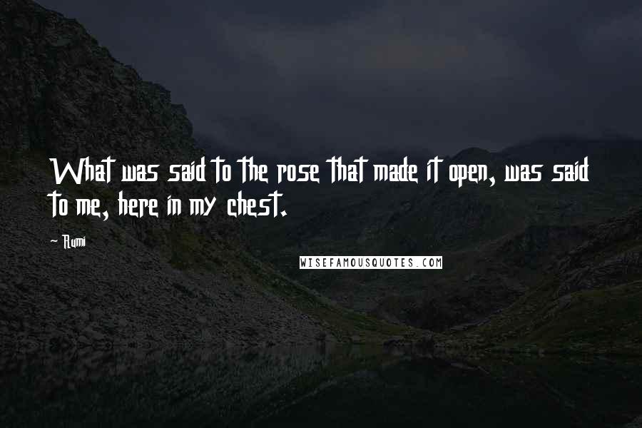 Rumi Quotes: What was said to the rose that made it open, was said to me, here in my chest.