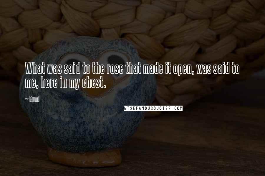 Rumi Quotes: What was said to the rose that made it open, was said to me, here in my chest.