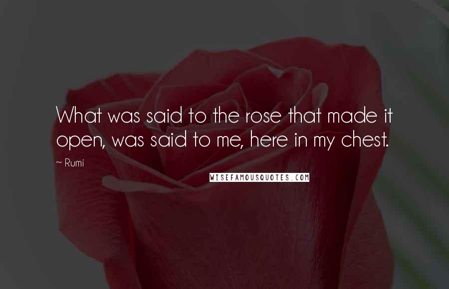 Rumi Quotes: What was said to the rose that made it open, was said to me, here in my chest.