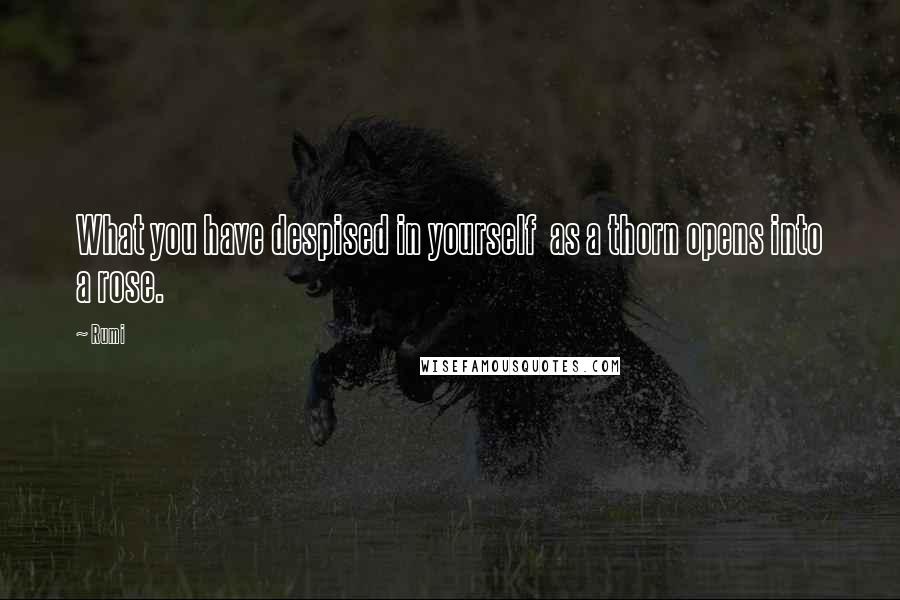 Rumi Quotes: What you have despised in yourself as a thorn opens into a rose.