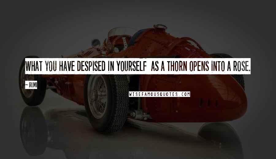 Rumi Quotes: What you have despised in yourself  as a thorn opens into a rose.