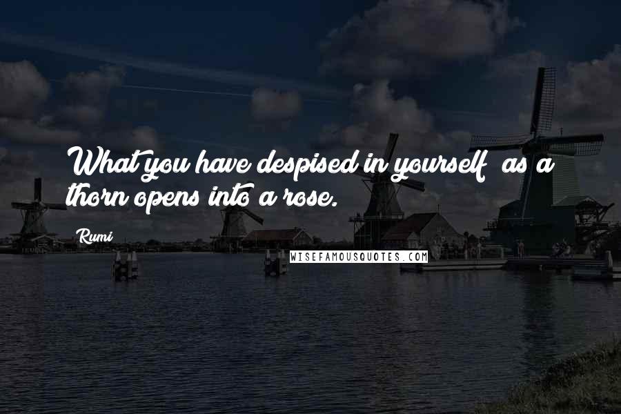 Rumi Quotes: What you have despised in yourself  as a thorn opens into a rose.