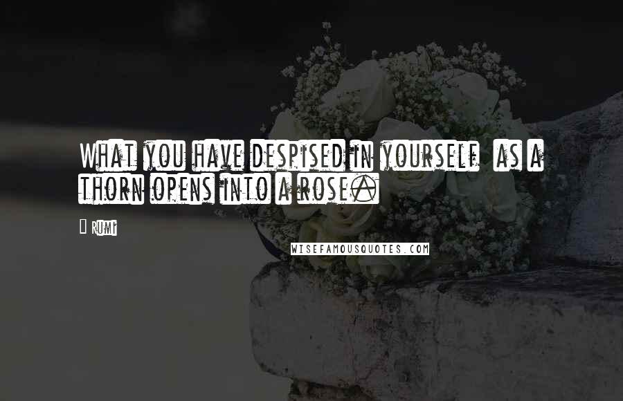 Rumi Quotes: What you have despised in yourself  as a thorn opens into a rose.