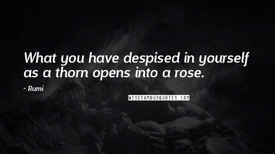 Rumi Quotes: What you have despised in yourself  as a thorn opens into a rose.