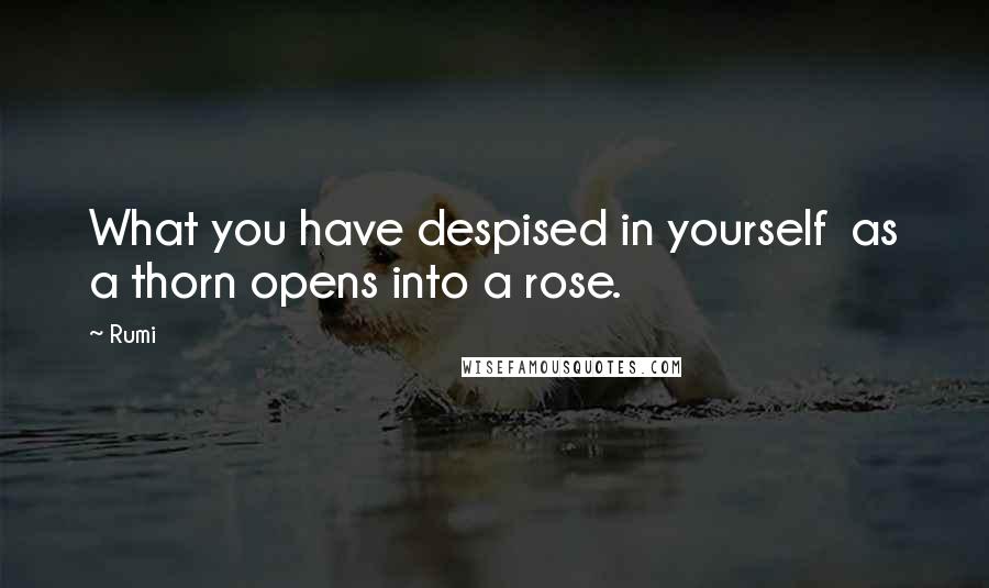 Rumi Quotes: What you have despised in yourself  as a thorn opens into a rose.