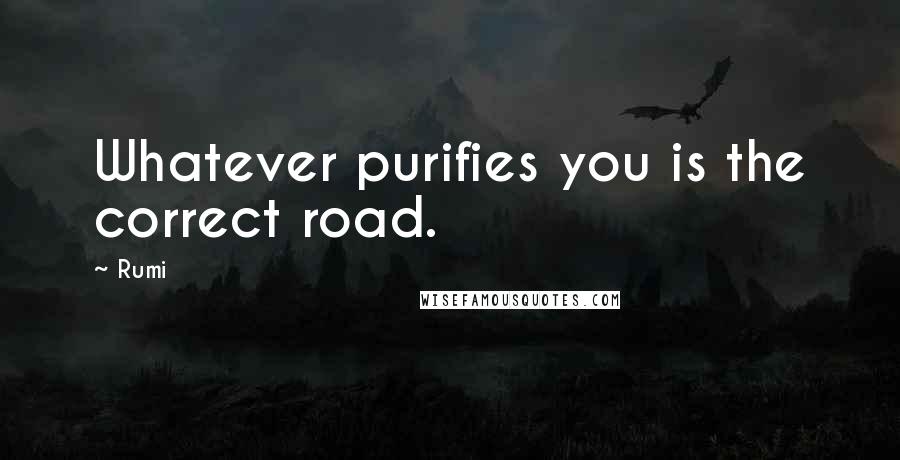 Rumi Quotes: Whatever purifies you is the correct road.