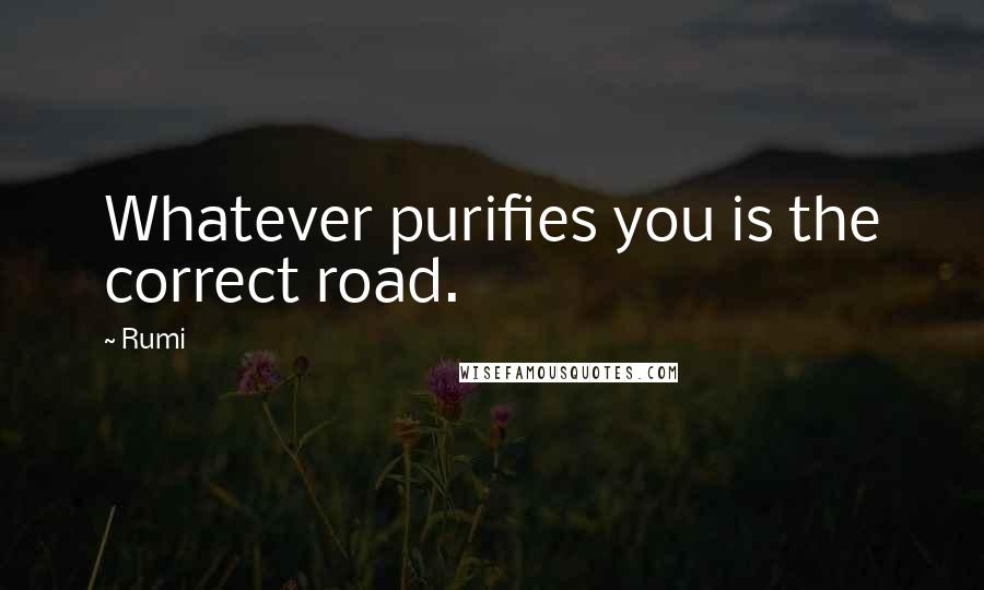 Rumi Quotes: Whatever purifies you is the correct road.